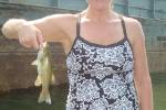 liz_smallmouth liz_smallmouth