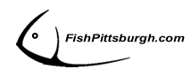 Fish Pittsburgh Fish Pittsburgh